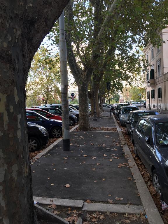 Giulio Cesare Luxury Apartment Roma Eksteriør bilde